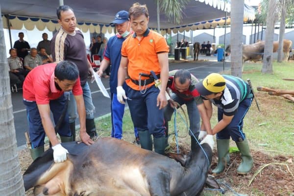 Perayaan Idul Adha 1420 H, Berbagi Untuk Sesama 