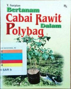Bertanam cabai rawit dalam polybag