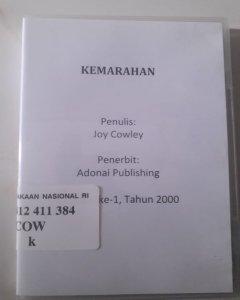 Kemarahan = anger