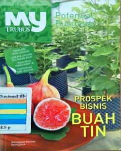 Prospek bisnis buah tin