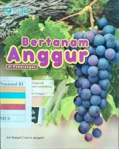 Bertanam anggur di pekarangan