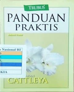 Panduan praktis: kiat bungakan Cattleya