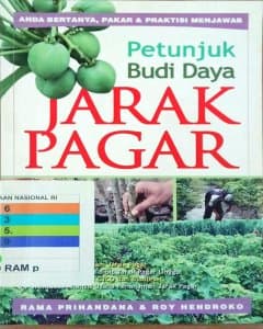 Petunjuk budi daya jarak pagar