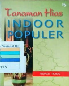 Tanaman hias indoor populer