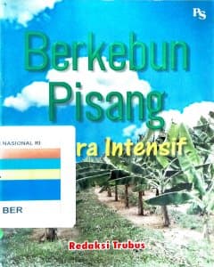 Berkebun pisang secara intensif