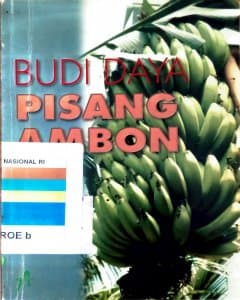 Budi daya pisang ambon