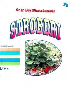 Stroberi