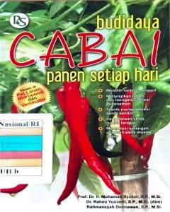 Budidaya cabai: panen setiap hari