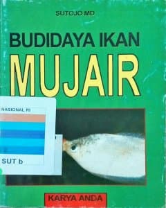 Budidaya ikan mujair