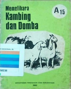 Memelihara kambing dan domba