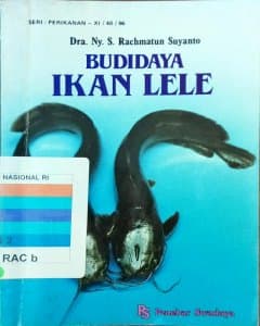 Budidaya ikan lele